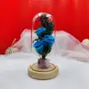 Presente de Dia dos Namorados com Tampa de Vidro Iluminada Rosa Gipsofila Caixa de Presente Aniversário para Namorada Esposa Luminária de Noite