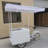 Triciclo Solar de Helados Congelador Impulsado por Humanos, Carrito de Bebidas Frías, Vehículo Móvil de Venta de Helados, Se Puede Personalizar OEM