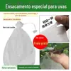 Sacos de Frutas Não Tecidos Sacos para Uvas para Prevenção de Pássaros e Insetos, Sacos Especiais de Amarração à Prova d'Água para Frutas, Sacos para Mudas em Estoque