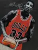 Camiseta Transfronteiriça Scottie Pippen com Estampa, Manga Curta, Tecido Pesado, Gola Pequena, Licenciada Oficialmente por Pippen