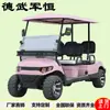 Carro de Golf Dewu Junheng para 4-8 Pasajeros, Vehículo Eléctrico de Vigilancia para Propiedades, Recorridos Inmobiliarios, Excursiones en Zonas Escénicas