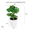 Más de 100 Tipos de Flores Artificiales y Plantas Verdes, Combinaciones de Plantas Artificiales en Maceta de Plástico, Flores Artificiales de Venta Caliente Transfronteriza, Mini Bonsáis Artificiales, Fuentes de Suministro