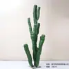 Cactus Pilares de Dragón Simulados Cactus Parásito Planta del Desierto Marroquí Decoración Suave para Paisajismo Modelo Decoración de Proyectos