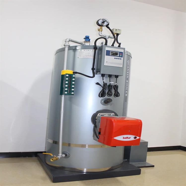 小型燃油气锅炉 (2)