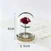 Ornamento de Rosa com Cúpula de Vidro do Pequeno Príncipe, Flor Eterna, Presente para Namorada, Melhor Amiga, Namorado, Dia dos Namorados, Presente de Aniversário