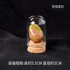 Adornos de muestra de mineral de piedra cruda de cristal natural, mineral de roca de ágata de cristal, adornos de regalo de enseñanza científica popular para niños