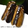 Suministro en Vivo del Fabricante de Colgantes de Piedra Ojo de Tigre para Hombres y Mujeres, Moderno Collar Marca Dragón de Piedra Ojo de Tigre Guanyin, Anillo con Colgante de Jade
