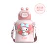 Fábrica Aikes Original Sanrio Aço Inoxidável 316 Revestimento Presente para Crianças Paraíso Copo Térmico com Canudo 480ml