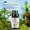 Óleo Essencial de Zimbro Zimbro Óleo Essencial de Origem Vegetal Óleo Essencial Único Fragrância para Carro Óleo Essencial para Aromaterapia Amostra de 10ml