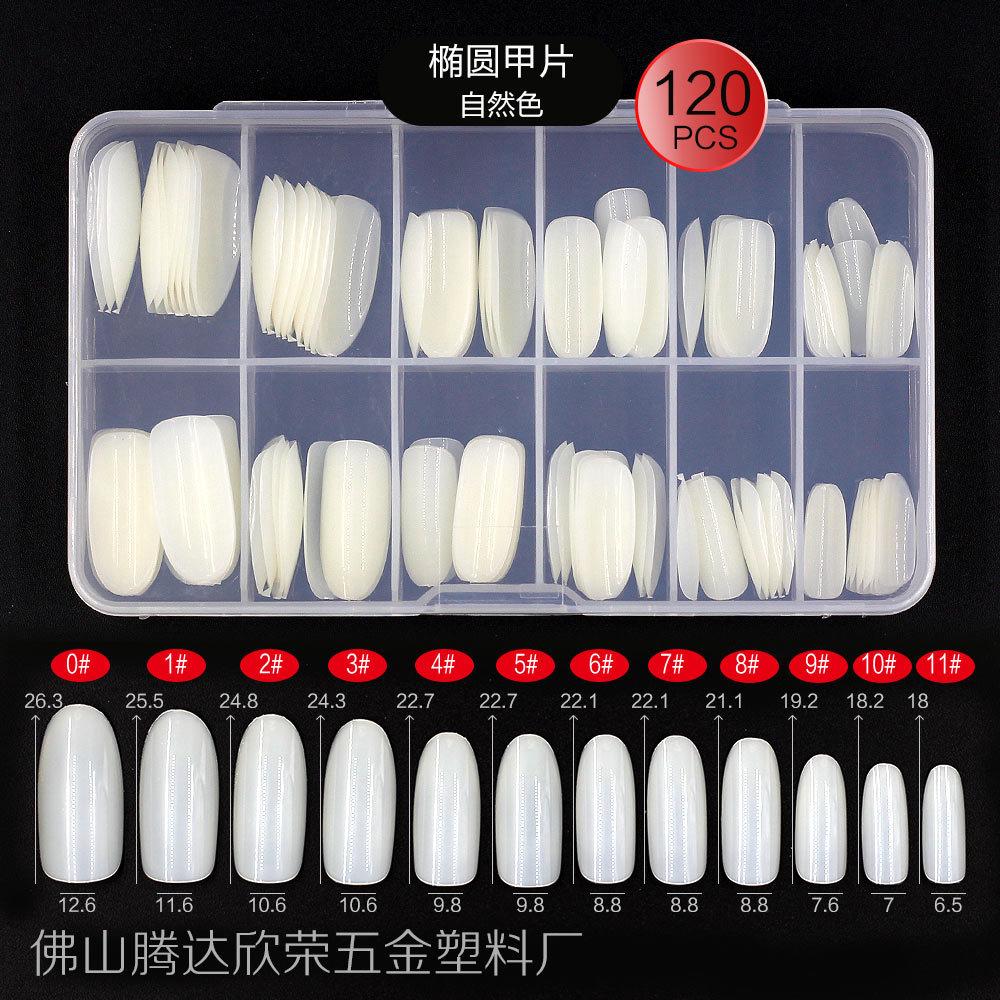 椭圆甲片自然色