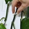 Artefacto de Pared para Trepar Rosas Verdes Cesta Verde Fijador Clip para Trepar Plantas Verdes Gancho sin Rastro Barra de Trepar sin Perforar