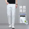 Novedad de Otoño Estilo Jeans de Seda Helada para Hombre, Pantalones Blancos Cortos, Nuevo Pantalón Elástico Recto Ajustado 2026 para Personas Petitas