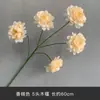 Flores Artificiales de Seda Color Champán para Arreglos Florales, Decoraciones de Pasillo, Arcos, Flores para Techo de Salón de Bodas y Decoraciones de Boda