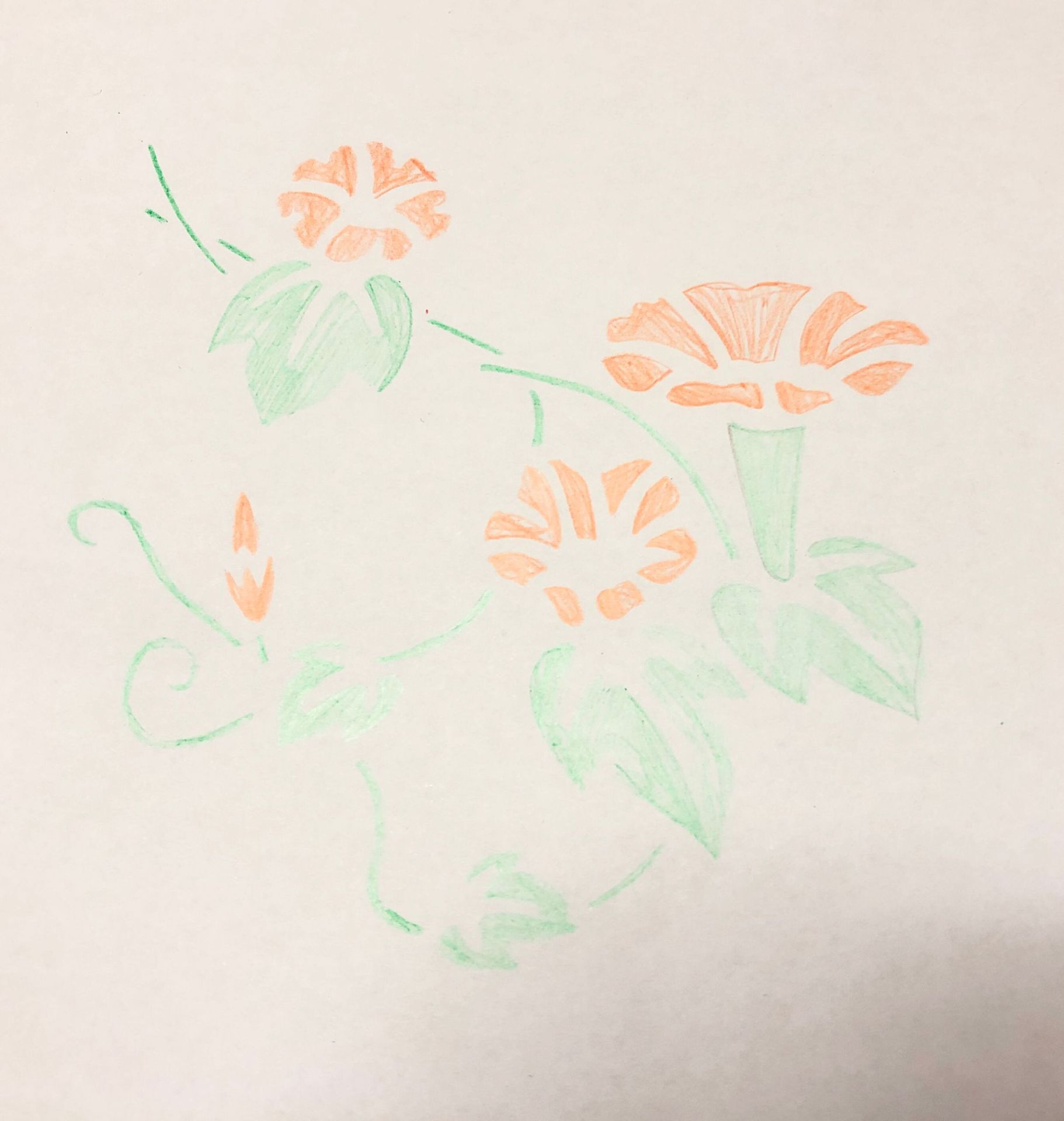 QQ图片20210522114905