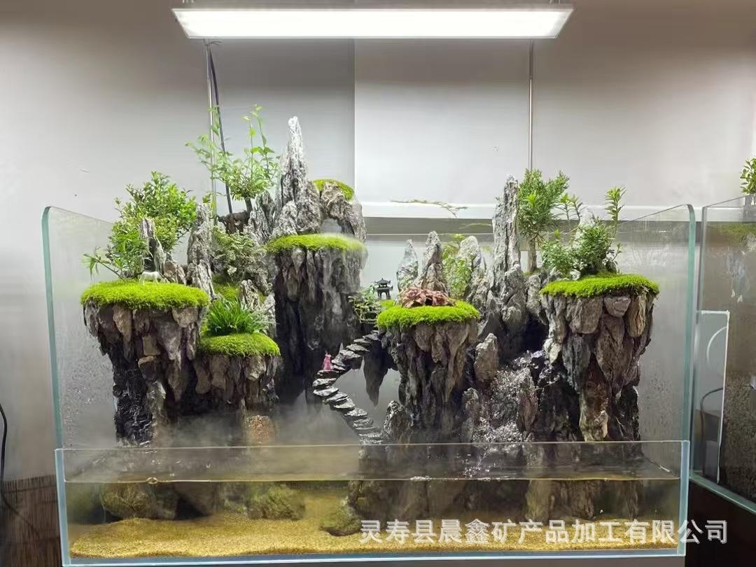 微信图片_20250316171002.jpg