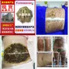 Salão de beleza produto tópico externo fertilizante alcalino pó de medicina chinesa para emagrecer estômago cintura pernas corpo inteiro fabricante Pó de sucção para modelagem corporal