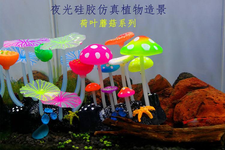 夜光荷叶蘑菇