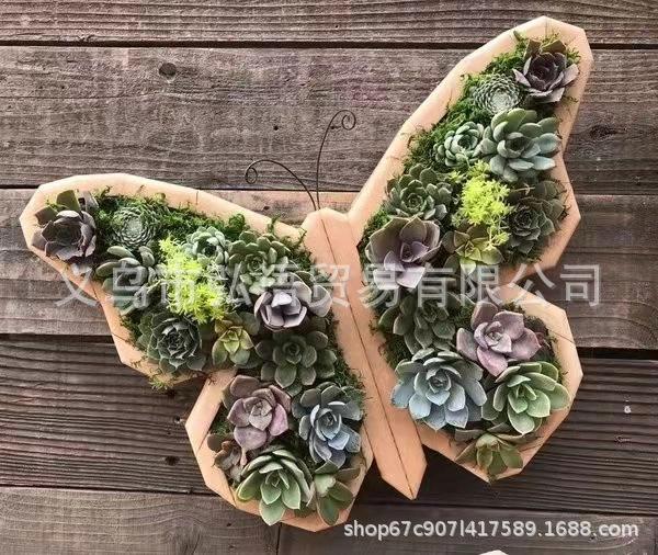 微信图片_20220316141909