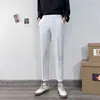 Ins Rectos Elegantes Verano Nueva Moda Pantalones Cortos Modernos Combinan con Todo Artística Juvenil Popular Hombres Perezosos