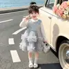 Ropa de Otoño para Niñas Estilo Francés Pequeño Vestido de Malla con Lentejuelas Vestido en Capas Estilo Otoño para Bebé Vestido de Princesa Ropa Formal Conjunto de Dos Piezas Moderno