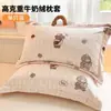 Funda de Almohada de Terciopelo de Leche Engrosada 48X74cm Paquete Doble Invierno para Niños y Adultos Funda Interior para Almohada Individual del Hogar