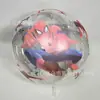Celebridad de Internet Bola Redonda Transparente Impresa Bola Ondulada de 24 pulgadas Decoración para Fiesta de Cumpleaños Decoración de Boda Vacaciones Globo Impreso
