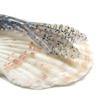 Isca falsa de camarão macio bibi de água flutuante NED com cheiro de peixe e essência de sal embalagem 1.8g6.5cm pesca marítima Luya pesca marítima minhoca macia