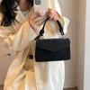 Bolso pequeño popular de este año para mujer, verano 2024, nueva moda, bolso cuadrado pequeño portátil, textura simple, bolso de mensajero de hombro