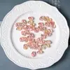 Fragmentos de Concha Gradiente Gota d'Água Lua Fria Contas Resina Galvanizada Furo Passante Contas Soltas Acessórios para Corrente de Celular DIY