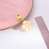 Chaveiro de Flor de Cinco Pétalas Capa Protetora para AirPods Estojo de Fone de Ouvido Pingente Flor de Celebridade da Internet Pingente para Cordão de Celular
