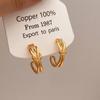 Pendientes de Zirconia Microincrustada Estilo Frío Combinan con Todo Aro de Oreja de Gama Alta Pendiente de Oreja Sencillo Moderno Joyería de Oreja Elegante de Celebridad de Internet de Corea del Sur