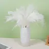 Ramo de Flores de Caña Seca, Decoración de Caña, Decoración de Boda Transfronteriza, Hierba de Pampa, Flores Pequeñas Suaves Preservadas, Caña