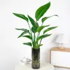 Planta de Ave del Paraíso Hidropónica en Maceta para Escritorio, Estilo Nórdico, Planta de Interior Perenne, Hojas Grandes, Cultivada en Agua, Tolera la Sombra, para Sala de Estar