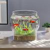Acuario de plástico transparente para peces, acuario, micro-paisaje, paisajismo, resistente al tacto, resistente a caídas, pecera para tortugas de oficina para observación, venta al por mayor