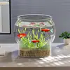 Acuario de PET personalizado, pecera transparente de oficina para tortugas, tanque ecológico pequeño de plástico irrompible y resistente a roturas para escritorio para paisajismo acuático
