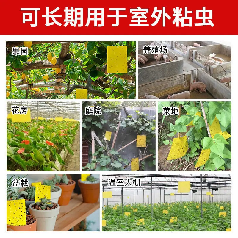 详情11