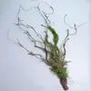 Videira Murcha Galho de Videira Flor Artificial Decoração Ramo Tronco Ramo Musgo Musgo Planta Trepadeira de Interior Pendurado na Parede Planta Verde