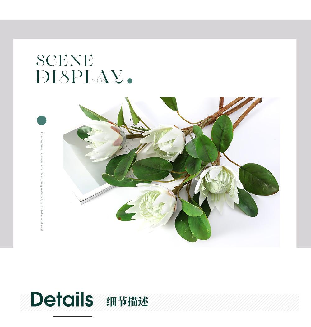 小帝王-8.13_06.jpg