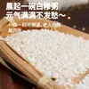 Maíz Blanco Glutinoso Granulado 25kg Empaque Grande Venta al por Mayor Granos Triturados de Residuo de Maíz Pegajoso de Granja para Gachas Posos de Maíz