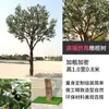 Enfeites de Oliveira Artificial para Paisagismo de Espaços Comerciais, Árvore Decorativa Grande Artificial de Chão de Luxo para Vitrines, Folhagem Artificial