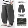 Calça Casual Outonal com Faca Curva Estilo Menino Europeu Outono 2026 Outono Novo Roupas Infantis de Tamanho Médio a Grande Roupas de Outono para Bebês Tendência
