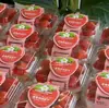 Caixa para Bolo Mousse de Morango, Caixa para Embalagem de Tiramisu, Caixa para Cortar Frutas, Pudim, Purê de Taro, Caixa de Queijo, Caixa para Levar