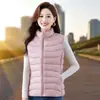 Colete de Algodão Feminino Outono e Inverno Peça Externa Leve 2025 Novo Inverno Gola Alta Quente Acolchoado Tamanho Grande