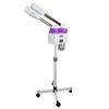 Vaporizador Facial de Spray Quente e Frio Instrumento de Beleza Doméstico Multifuncional de Tubo Duplo Borrifador Instrumento Hidratante Facial Instrumento de Spray Térmico Spray Frio