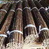 Bambu preto bambu roxo decoração de vara de bambu raiz de bambu chicote de bambu grade de corrimão de cerca japonesa tela divisória de parede de pátio vara de bambu