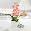 Bonsái Simulado de Phalaenopsis, Adornos Creativos, Productos Modernos para el Hogar, Flores Simuladas, Flores de Seda Ecológicas, Plantas Verdes, Flores Artificiales en Maceta
