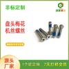 Parafuso Plum Direto da Fábrica de Parafusos de Dongguan Parafuso Antifurto de Aço Inoxidável Expositor de Parafusos
