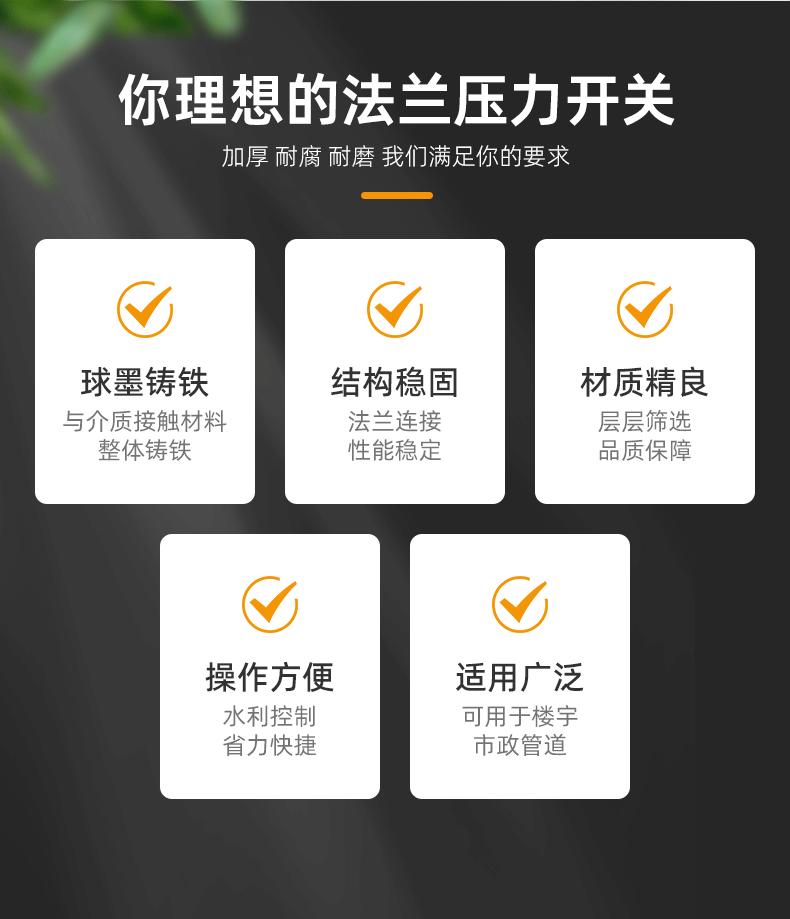 法兰压力开关远进 (2).gif