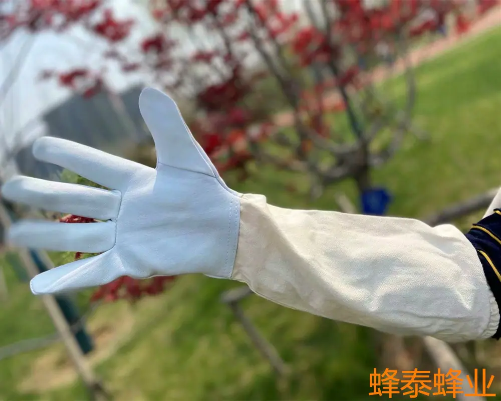 psc_副本