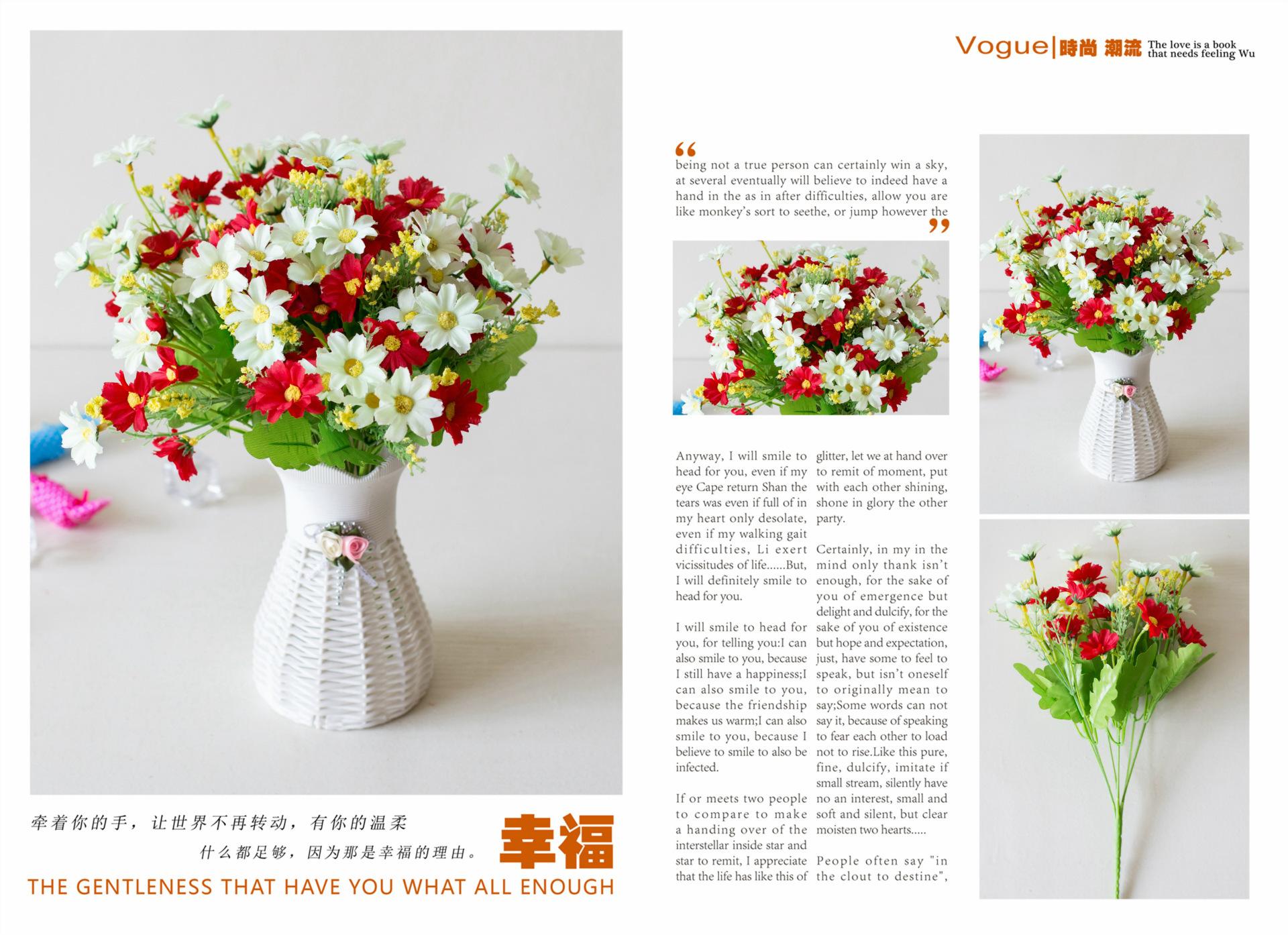28头跳兰菊
